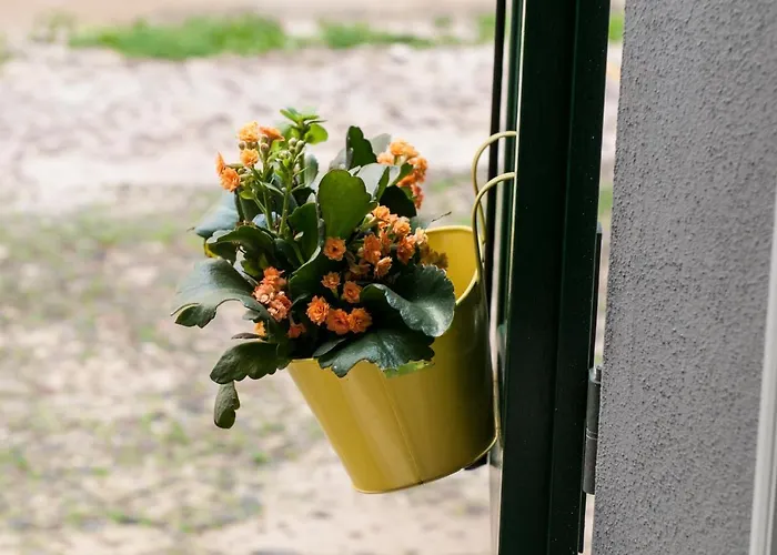 Casa de hóspedes Santa Chiara - Il Milese